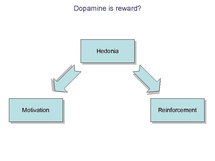 Dopamine is reward? Hedonia Motivation Reinforcement 