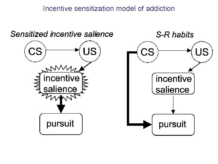 Incentive sensitization model of addiction 