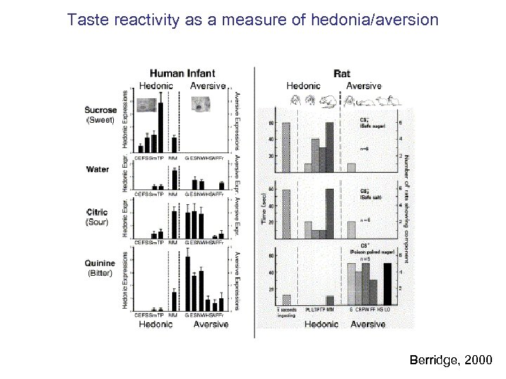 Taste reactivity as a measure of hedonia/aversion Berridge, 2000 