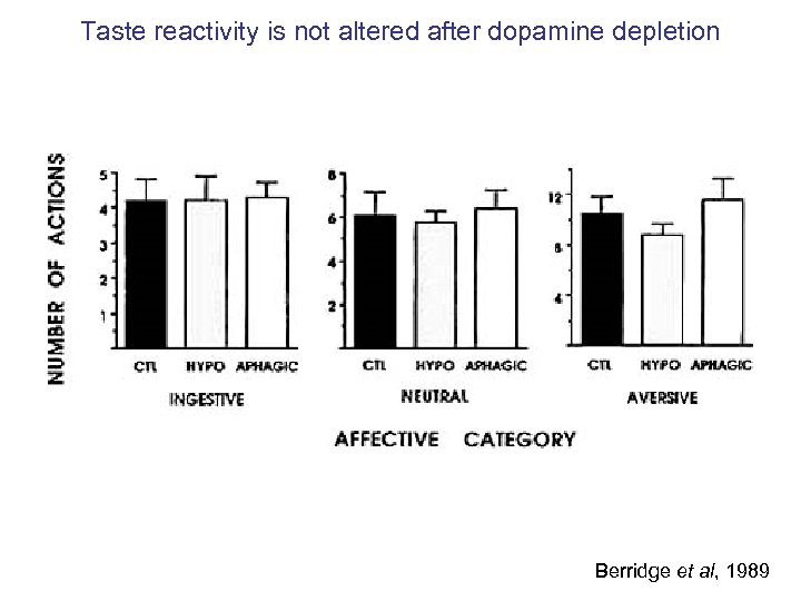 Taste reactivity is not altered after dopamine depletion Berridge et al, 1989 