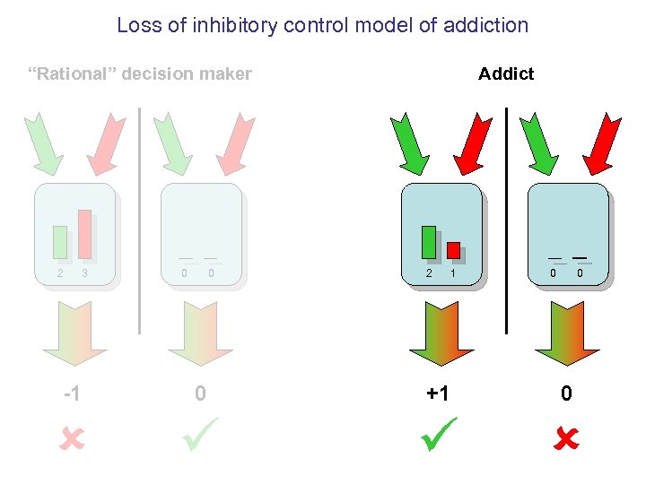 Loss of inhibitory control model of addiction “Rational” decision maker 2 3 0 0