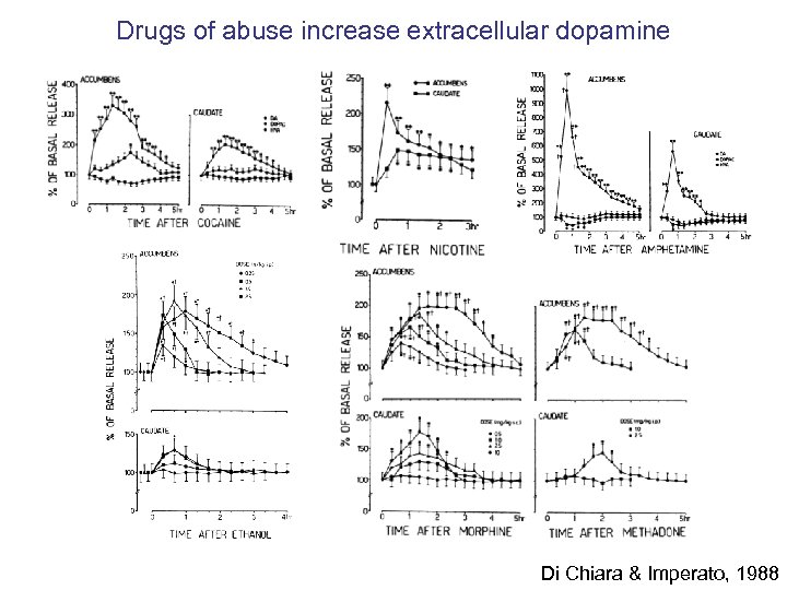 Drugs of abuse increase extracellular dopamine Di Chiara & Imperato, 1988 