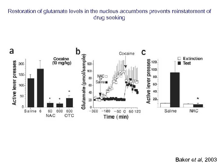 Restoration of glutamate levels in the nucleus accumbens prevents reinstatement of drug seeking Baker