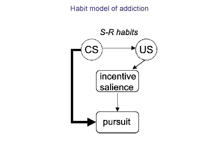 Habit model of addiction 