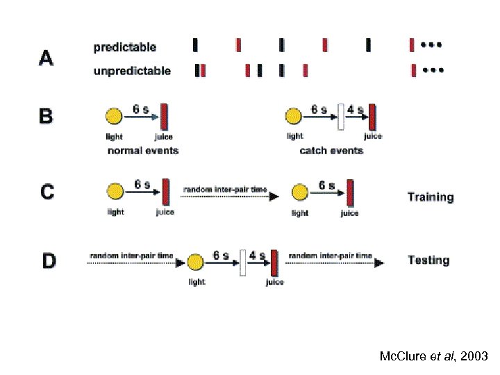 Mc. Clure et al, 2003 