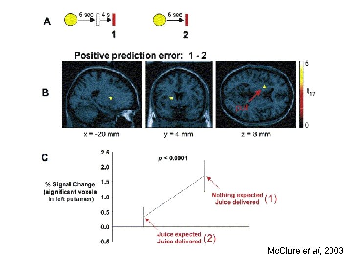 Mc. Clure et al, 2003 