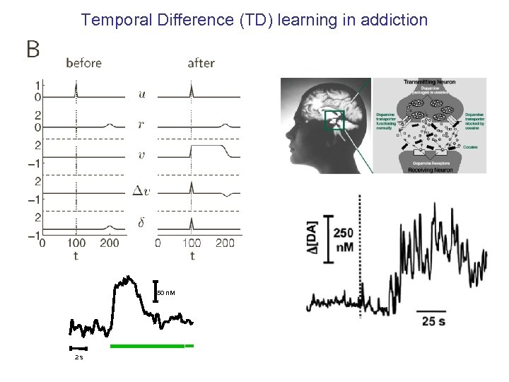 Temporal Difference (TD) learning in addiction 50 n. M 2 s 
