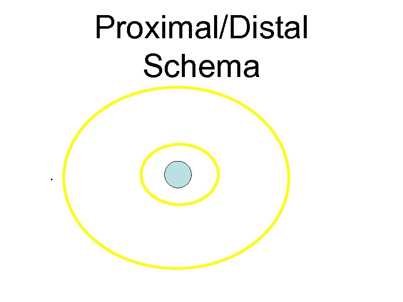 Proximal/Distal Schema . 