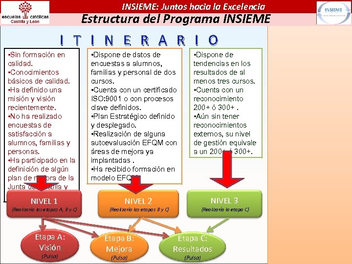 INSIEME: Juntos hacia la Excelencia Estructura del Programa INSIEME I T I N E