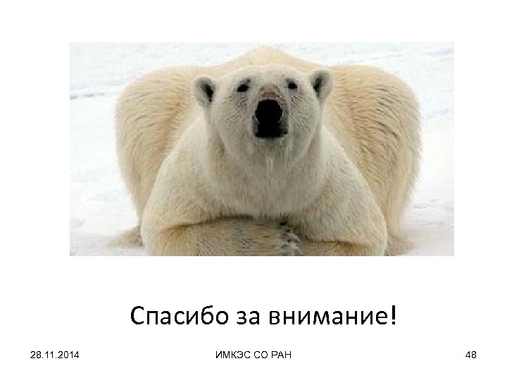 Спасибо за внимание! 28. 11. 2014 ИМКЭС СО РАН 48 