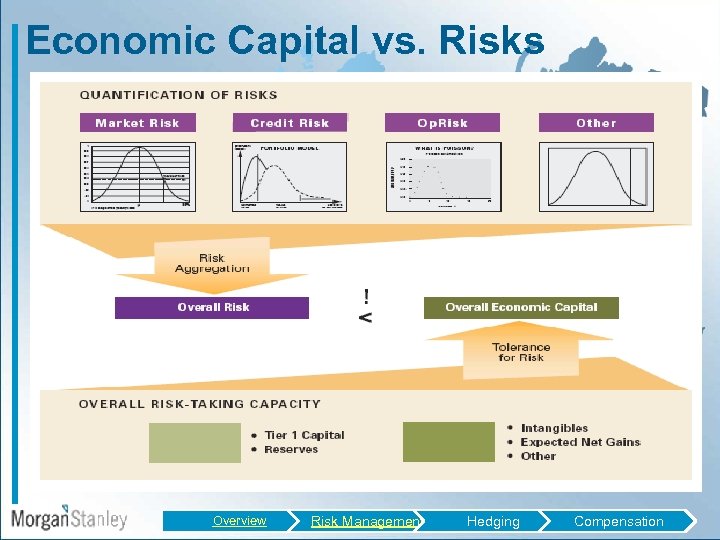 Economic Capital vs. Risks Overview Risk Management Hedging Compensation 