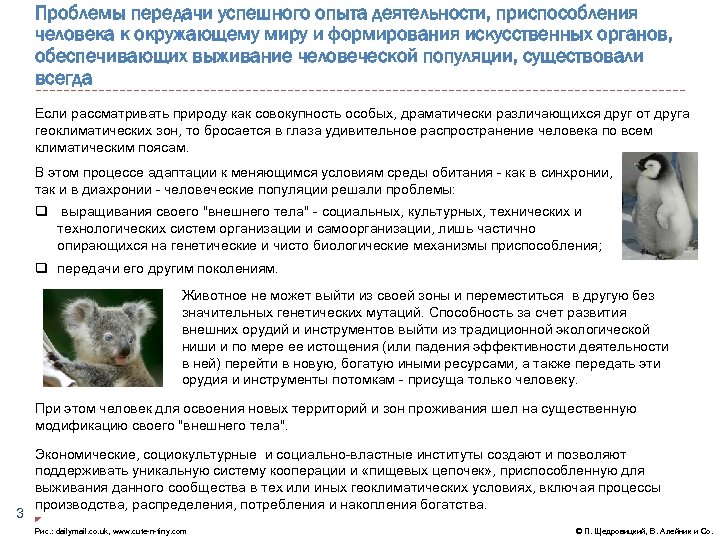 Проблемы передачи успешного опыта деятельности, приспособления человека к окружающему миру и формирования искусственных органов,