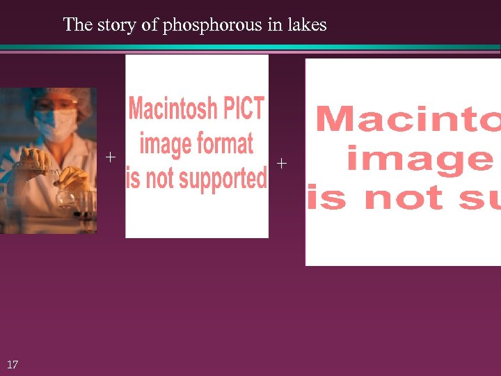 The story of phosphorous in lakes + 17 + 