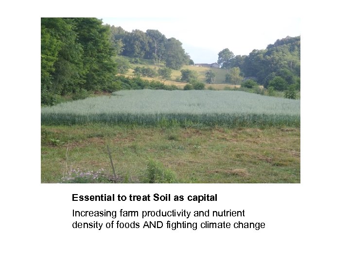 Essential to treat Soil as capital Increasing farm productivity and nutrient density of foods