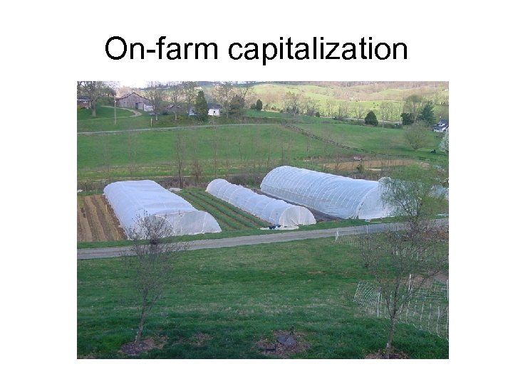 On-farm capitalization 