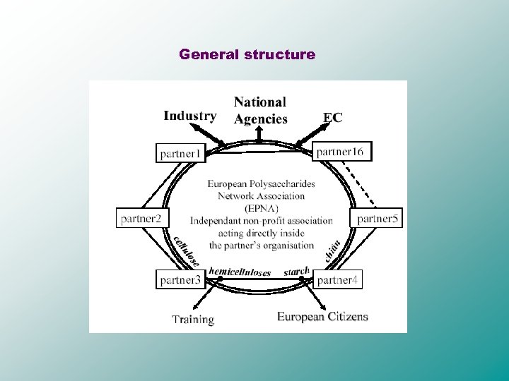  General structure 