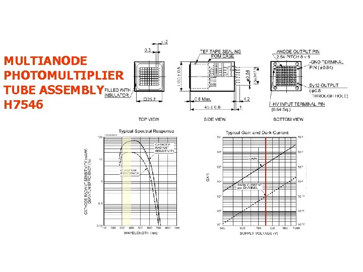 MULTIANODE PHOTOMULTIPLIER TUBE ASSEMBLY H 7546 