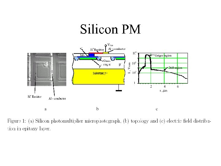 Silicon PM 