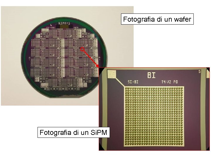 Fotografia di un wafer Fotografia di un Si. PM 