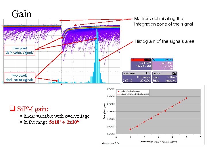 Gain Markers delimitating the integration zone of the signal Histogram of the signals area