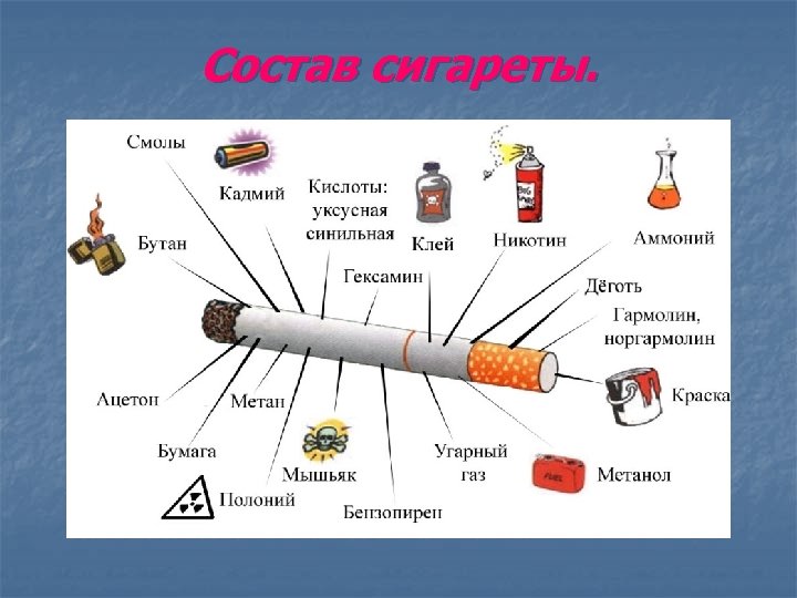 Фото из чего состоит сигарета