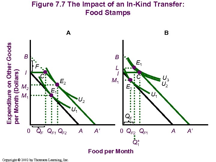 Figure 7. 7 The Impact of an In-Kind Transfer: Food Stamps Expenditure on Other