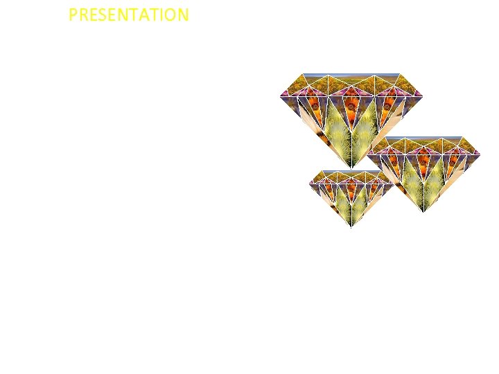 PRESENTATION ON DEVELOPMENTS AND PROGRESS REGARDING OPERATIONS, GOVERNANCE AND FINANCIALS OF THE NAMAKWALAND DIAMOND