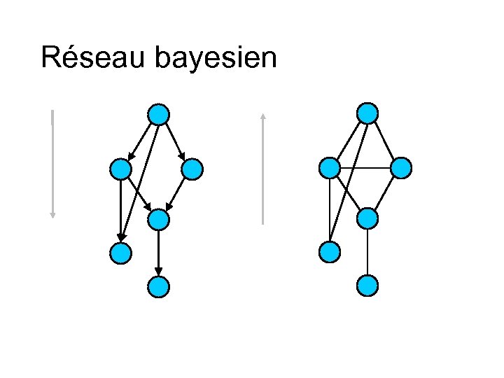 Réseau bayesien 