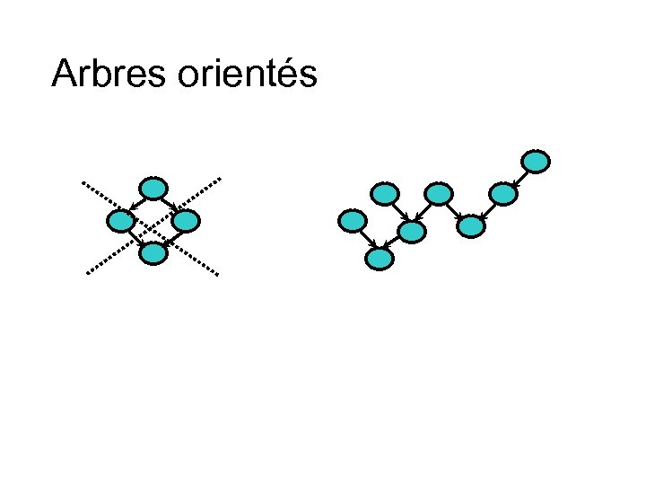 Arbres orientés 