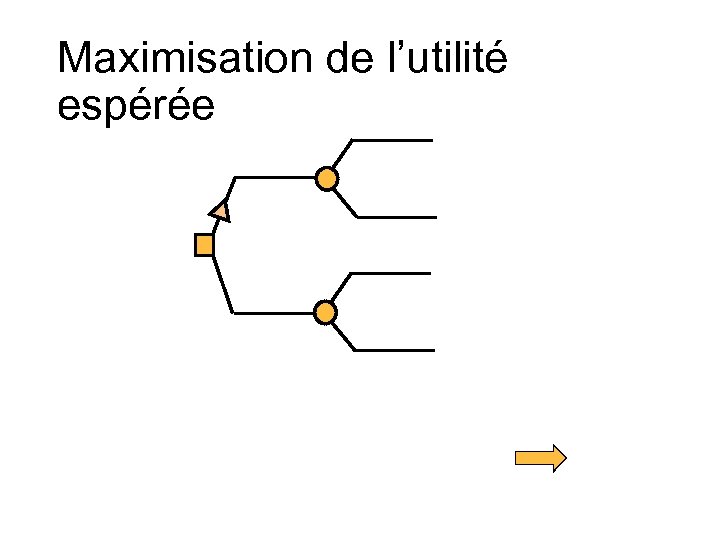 Maximisation de l’utilité espérée 