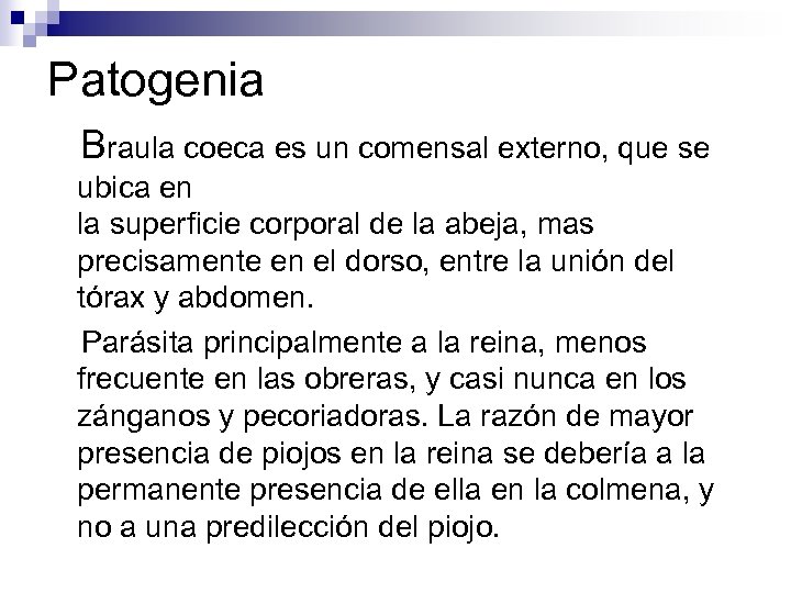 Patogenia Braula coeca es un comensal externo, que se ubica en la superficie corporal