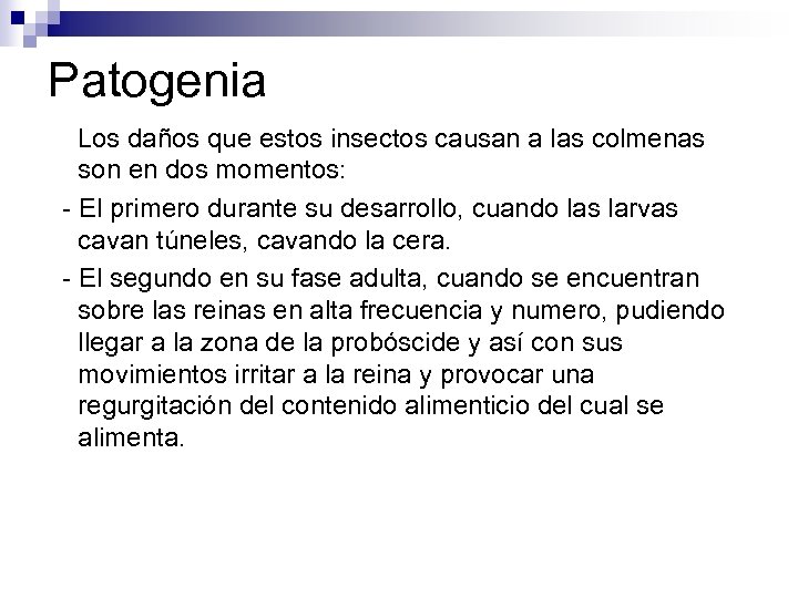 Patogenia Los daños que estos insectos causan a las colmenas son en dos momentos: