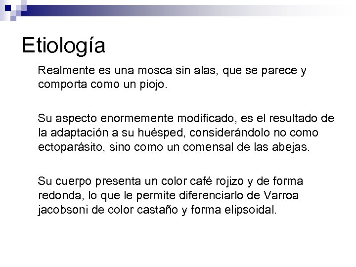 Etiología Realmente es una mosca sin alas, que se parece y comporta como un