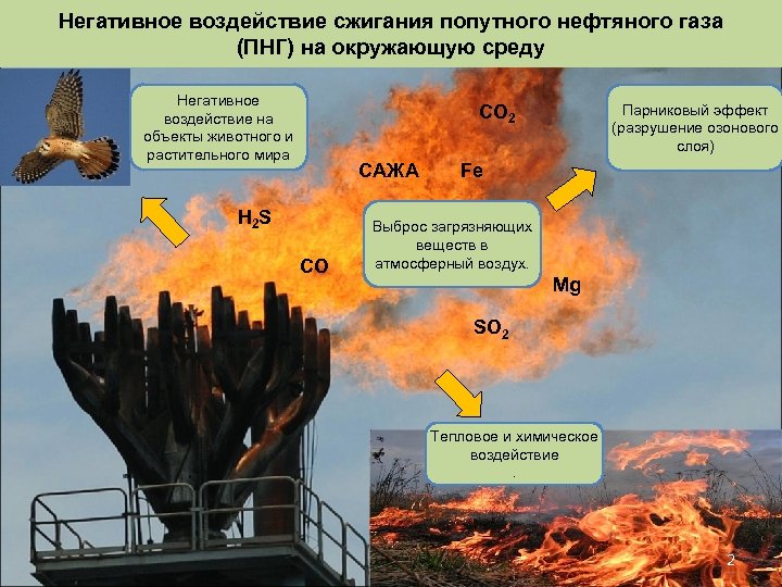 Негативное воздействие сжигания попутного нефтяного газа (ПНГ) на окружающую среду Негативное воздействие на объекты