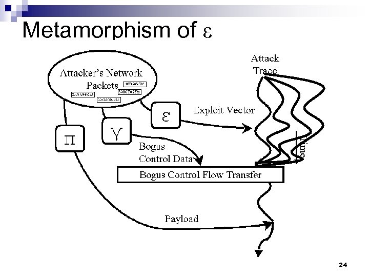 Metamorphism of ε 24 