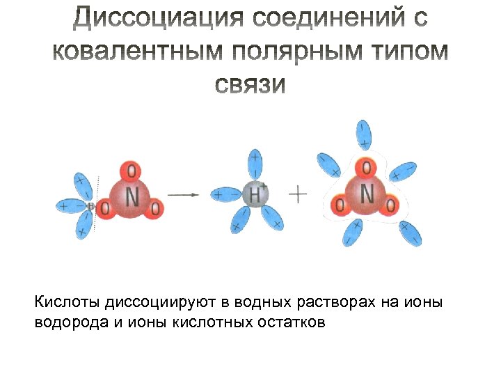 Кислоты диссоциируют в водных растворах на ионы водорода и ионы кислотных остатков 