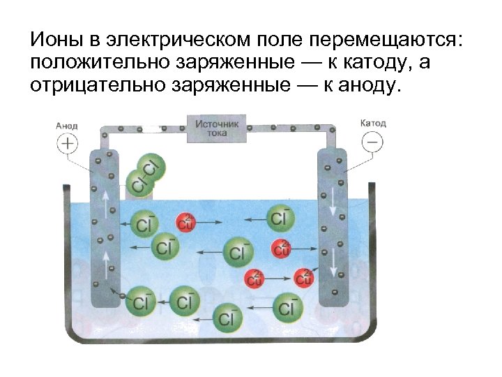 Ионы в электрическом поле перемещаются: положительно заряженные — к катоду, а отрицательно заряженные —