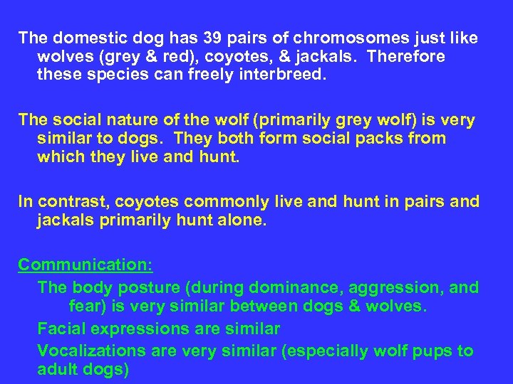 The domestic dog has 39 pairs of chromosomes just like wolves (grey & red),