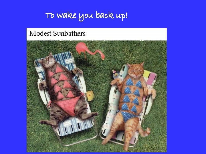 To wake you back up! 