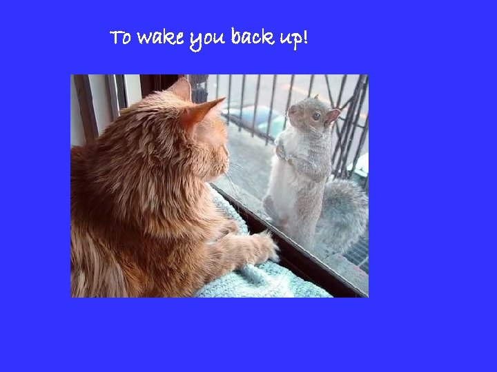 To wake you back up! 