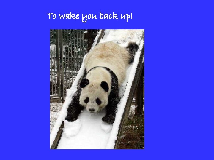 To wake you back up! 