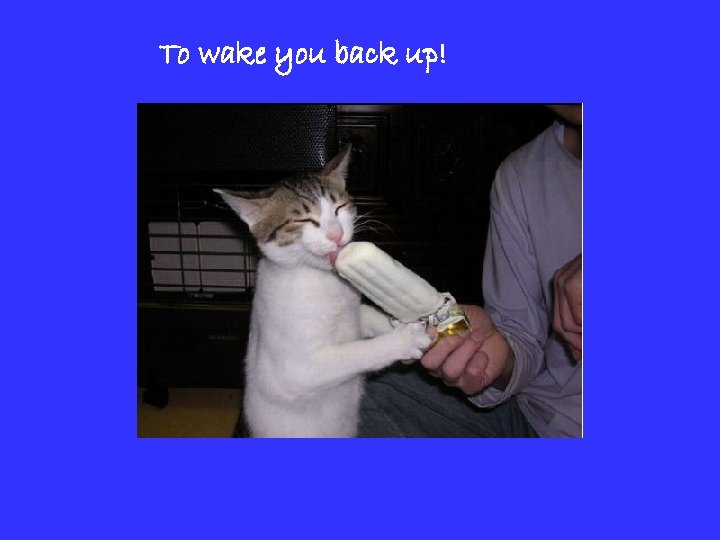To wake you back up! 