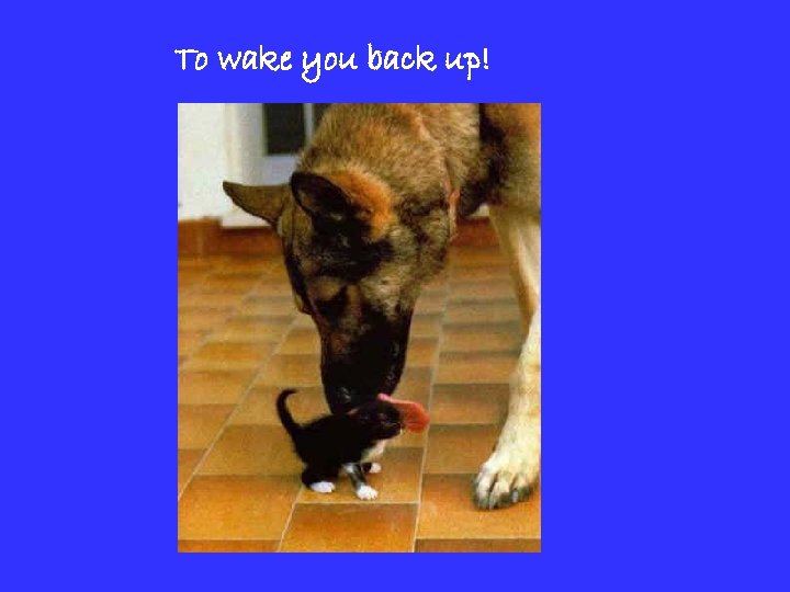 To wake you back up! 