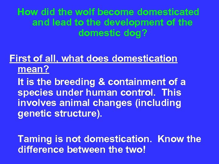  How did the wolf become domesticated and lead to the development of the