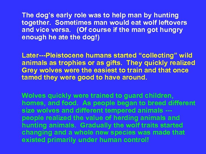 The dog’s early role was to help man by hunting together. Sometimes man would