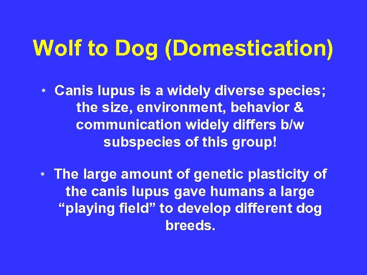 Wolf to Dog (Domestication) • Canis lupus is a widely diverse species; the size,