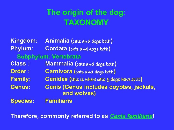 The origin of the dog: TAXONOMY Kingdom: Animalia (cats and dogs both) Phylum: Cordata