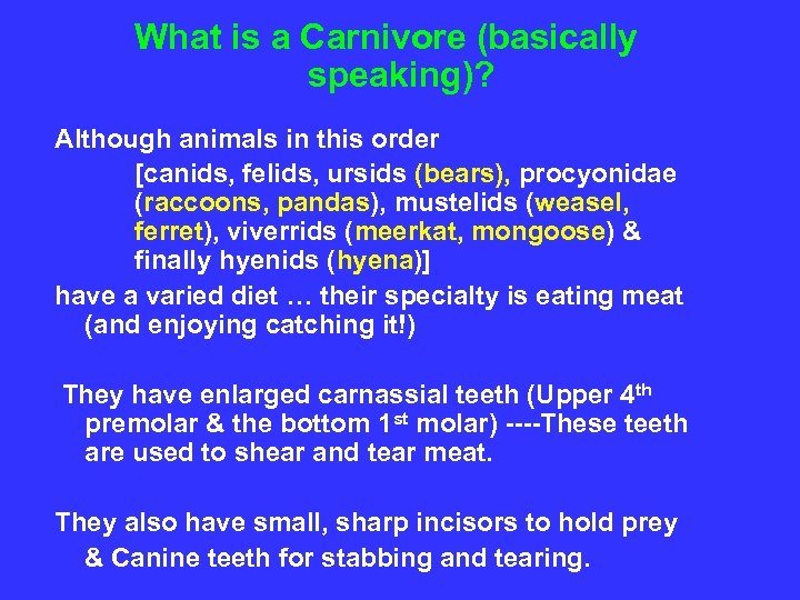What is a Carnivore (basically speaking)? Although animals in this order [canids, felids, ursids