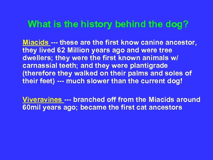 What is the history behind the dog? Miacids --- these are the first know