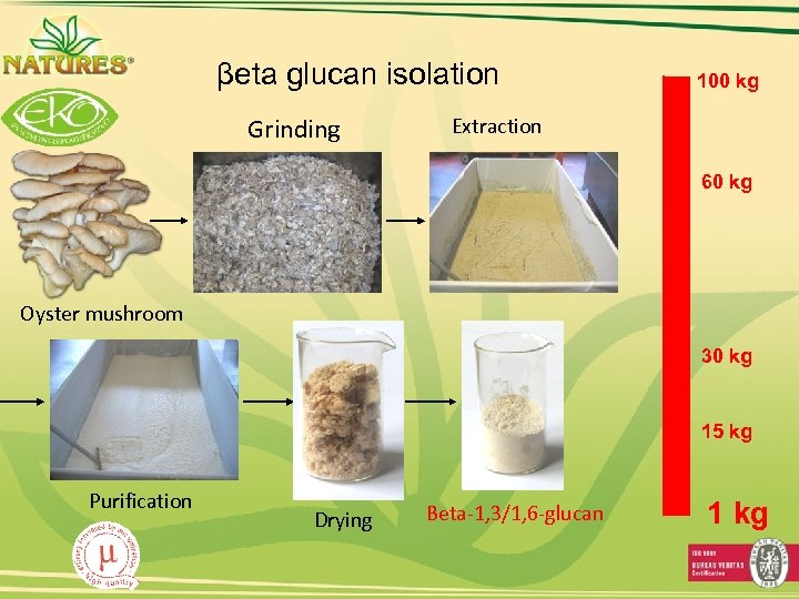 βeta glucan isolation Grinding 100 kg Extraction 60 kg Oyster mushroom 30 kg 15